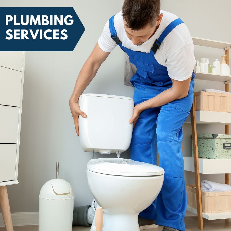 Plumbing Company in Williamsport, OH